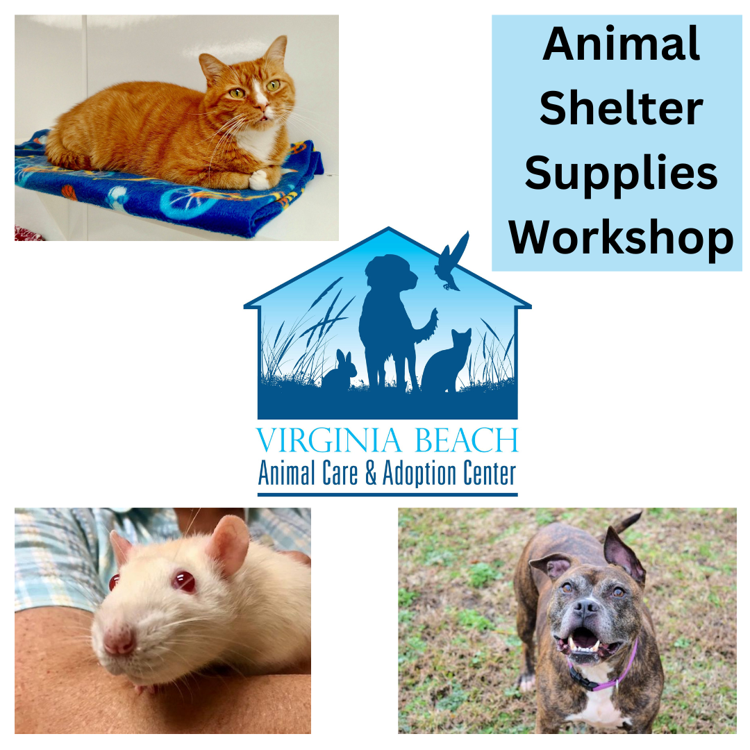 Animal Shelter Supplies Workshop Virginia Beach Public Library